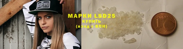 индика Армянск