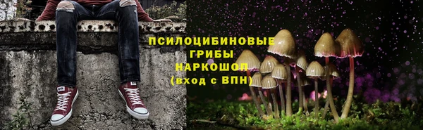 СК Арсеньев