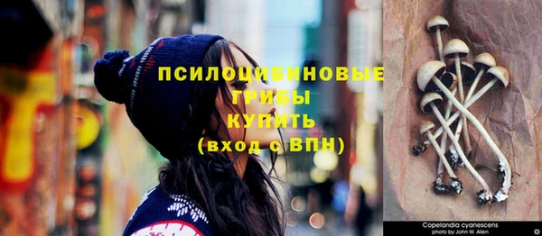 индика Армянск
